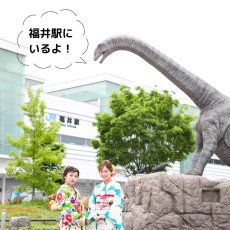 画像10: もたはんオリジナル恐竜帯留め「フクイティタン」 (10)