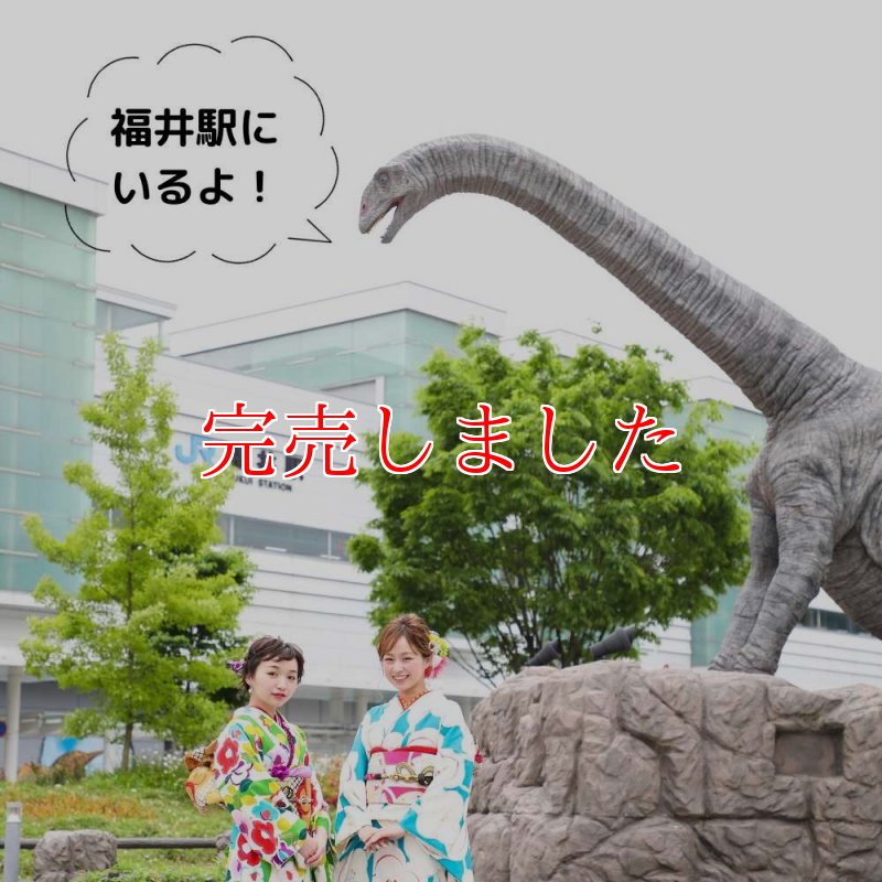 もたはんオリジナル恐竜帯留め「フクイティタン」 | 普段着きものもたはん