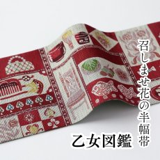 画像1: 召しませ花　半幅帯「乙女図鑑」 (1)