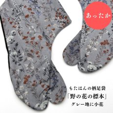 画像1: あったか足袋「野の花の標本」グレー地に小花 (1)