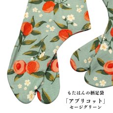 画像1: 通年履ける柄足袋「アプリコット」セージグリーン (1)