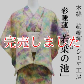未使用品 単衣木綿着物【花とドット】木綿がお好きな方★リメイク ハンドメイドにも KIMONOMACHI 木綿の着物+木綿の名古屋帯の2点セット 木綿着物 単衣
