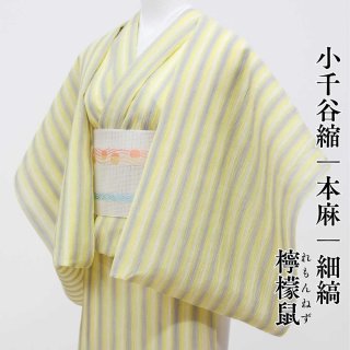 小千谷縮 夏きもの特集｜麻100％の涼しい普段着きもの
