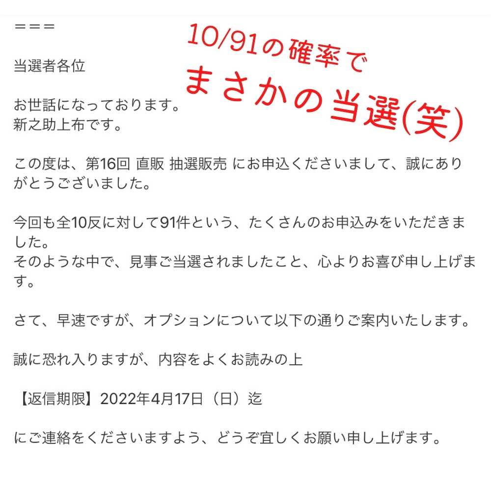 大西新之助上布｜普段着きものもたはん