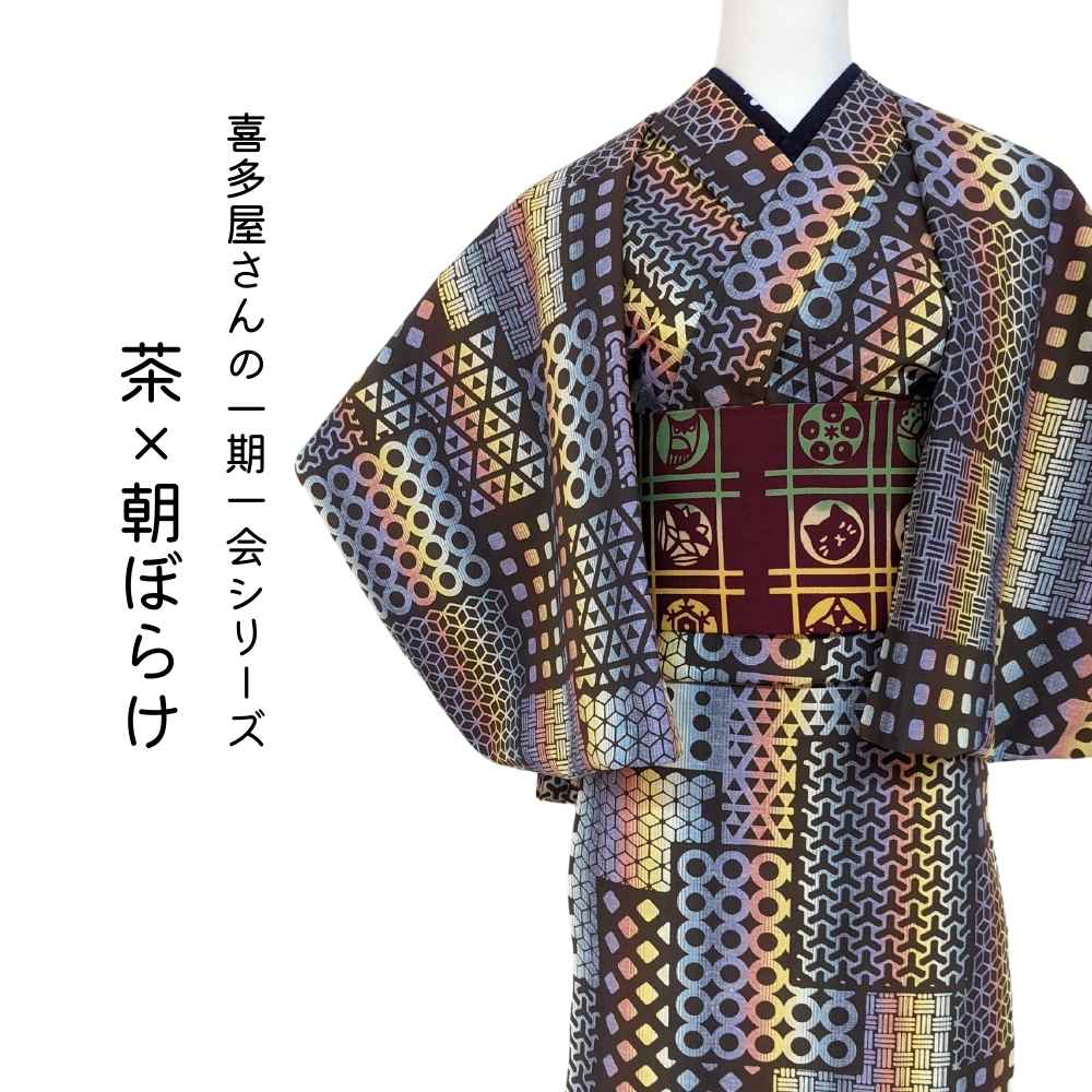 喜多屋商店さんの一期一会浴衣 茶 朝ぼらけ 普段着きものもたはん