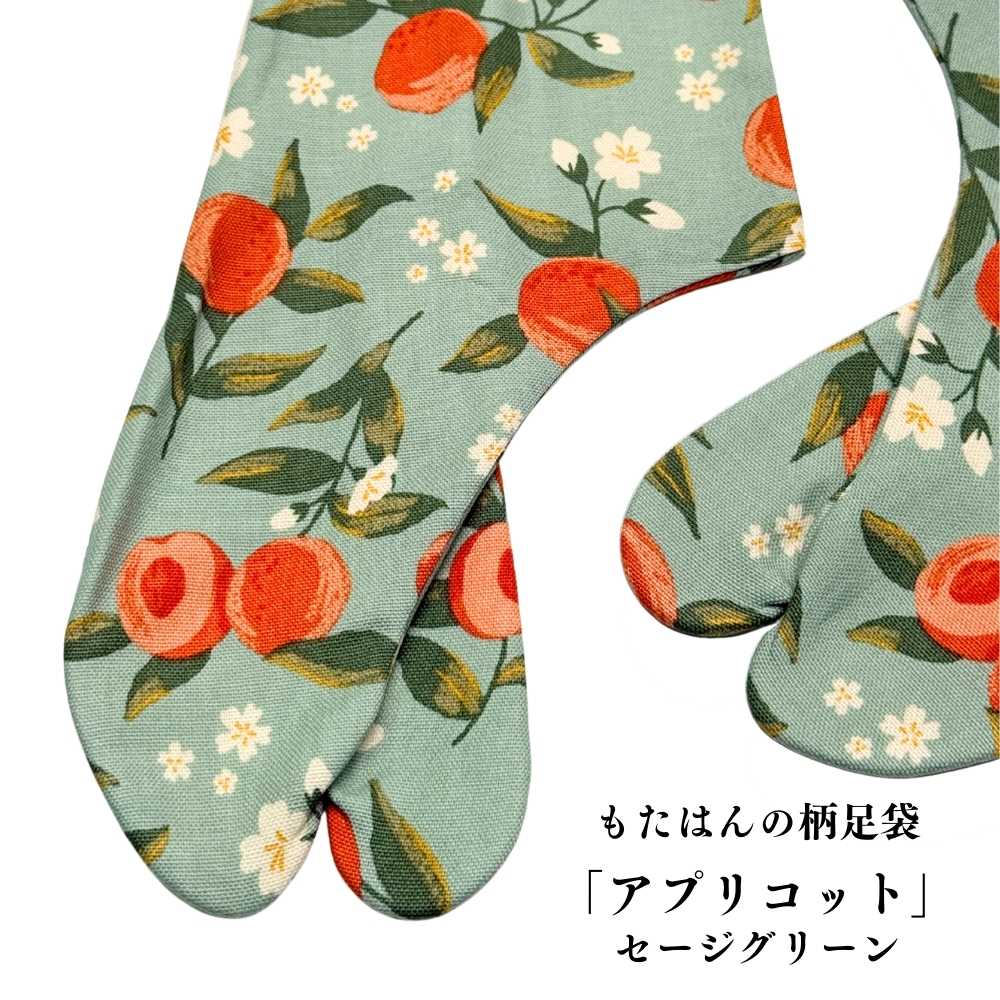 普段着着物｜柄足袋｜普段着きものもたはん